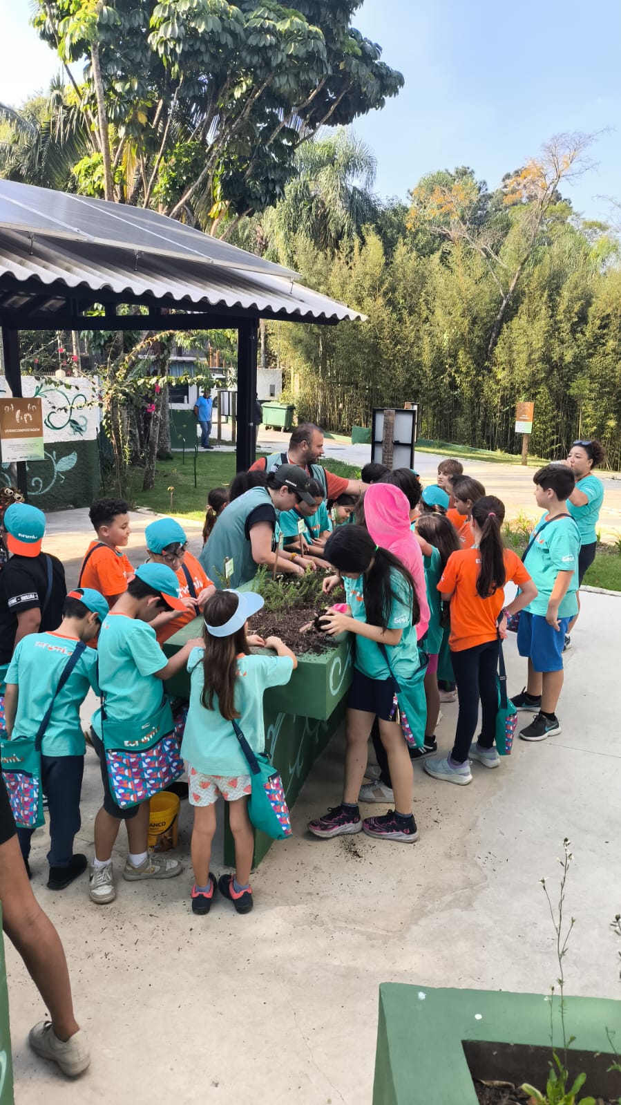 WhatsApp Image 2025-11-18 at 15.12.46.jpeg